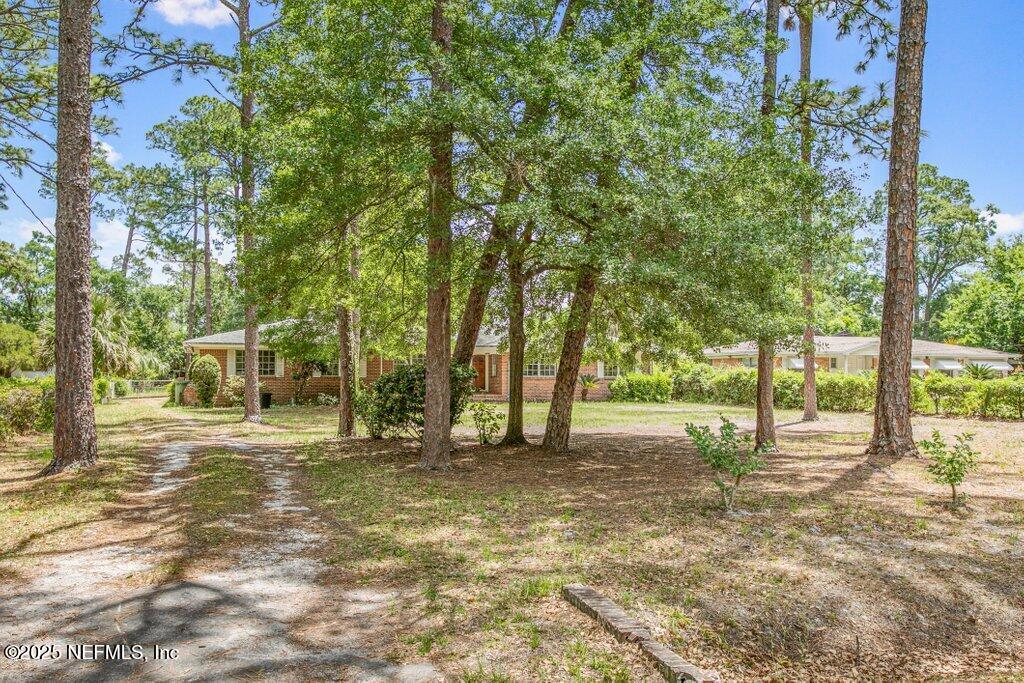 5207 Eulace Road Jacksonville, FL 32210 - Photo 44 of 50 Back Yard