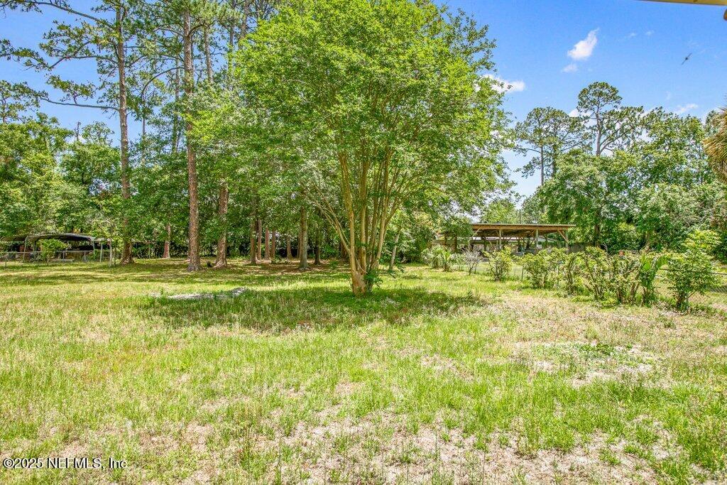 5207 Eulace Road Jacksonville, FL 32210 - Photo 50 of 50 Back Yard