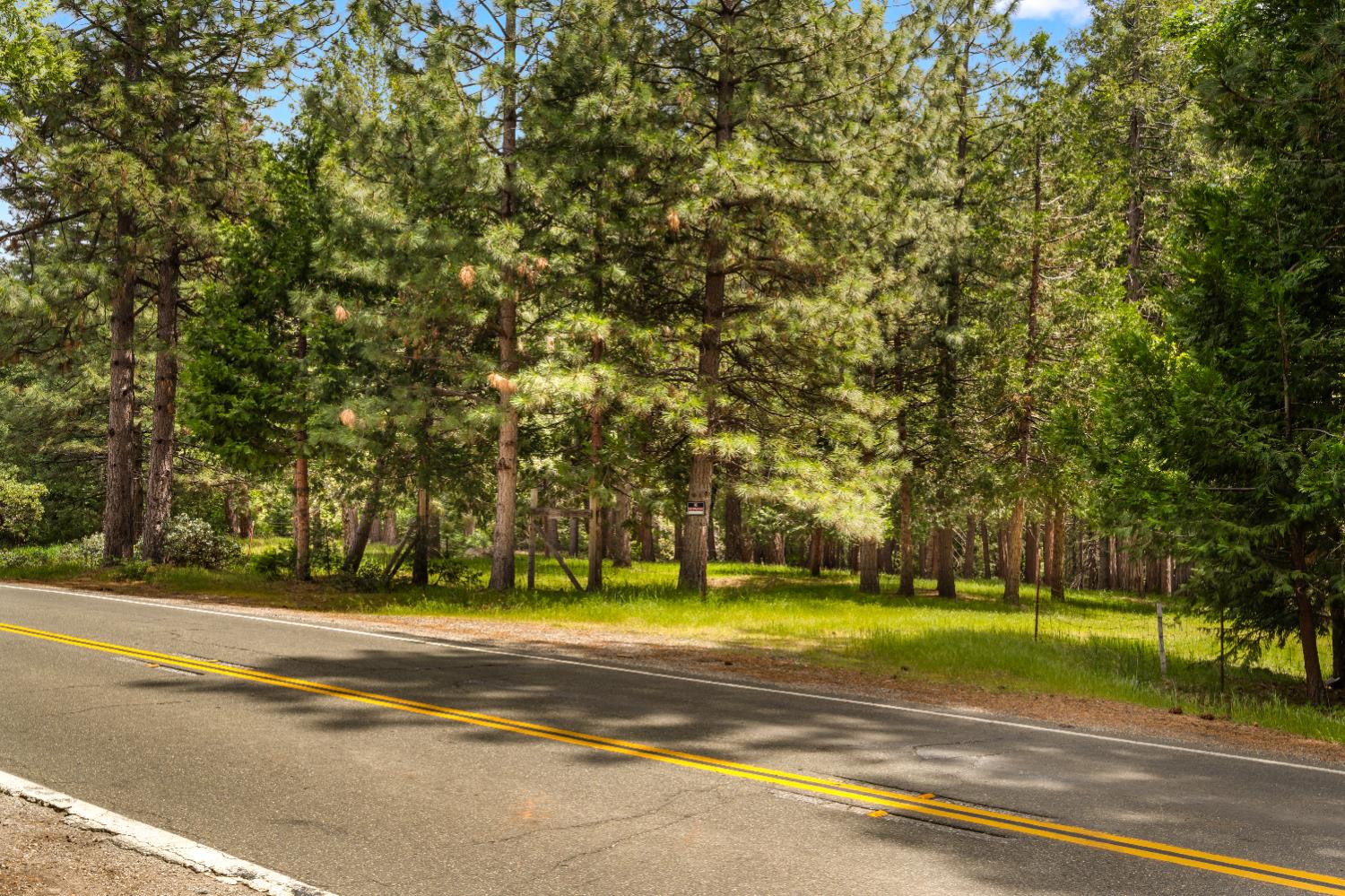 14647 Banner Quaker Hill Road Nevada City, CA 95959 - Photo 13 of 43 a view of a swimming pool and a yard