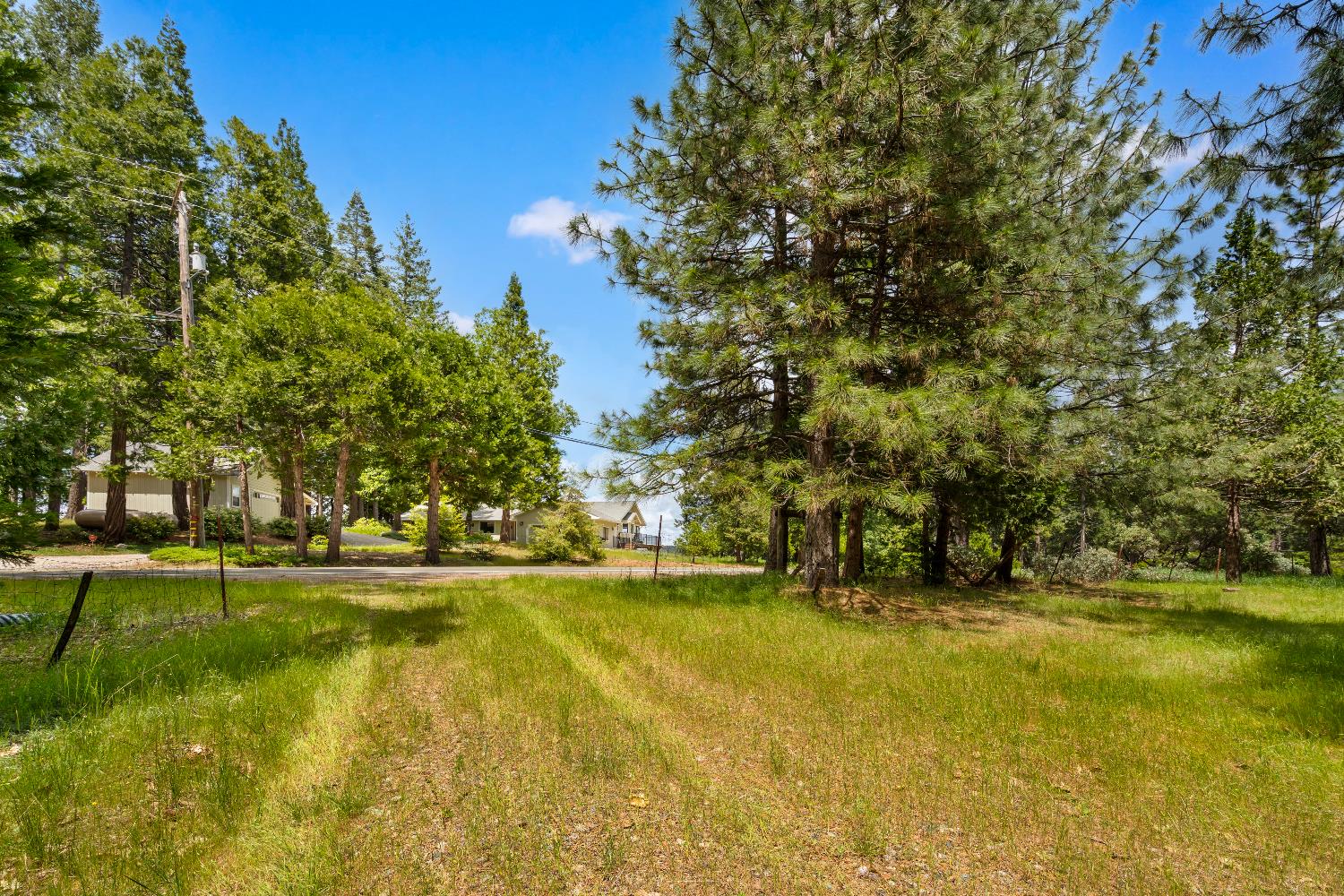 14647 Banner Quaker Hill Road Nevada City, CA 95959 - Photo 14 of 43 a view of yard with swimming pool and trees