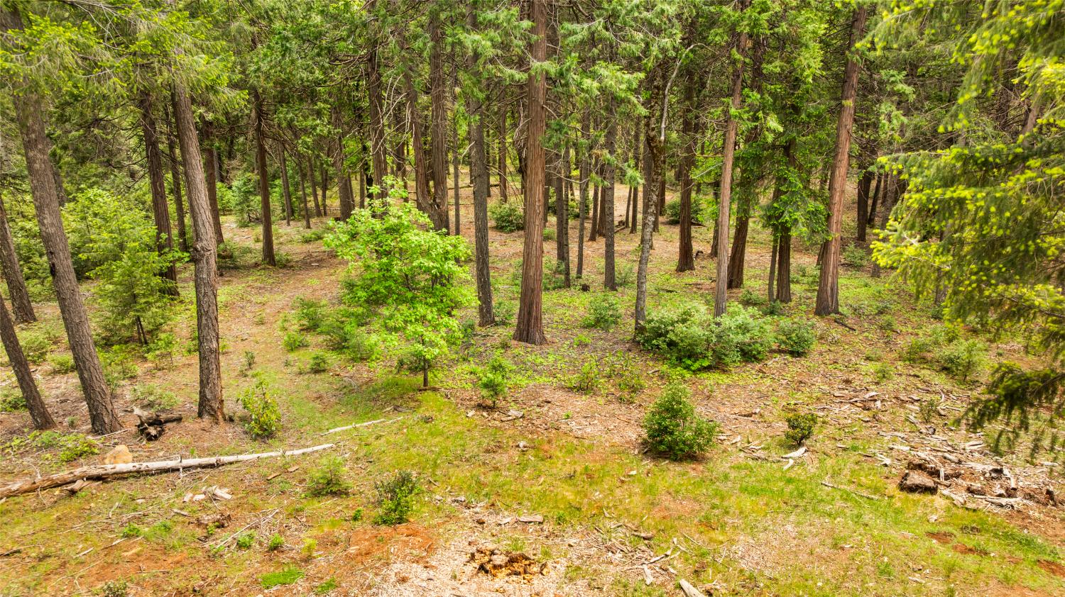 14647 Banner Quaker Hill Road Nevada City, CA 95959 - Photo 18 of 43 a view of a garden