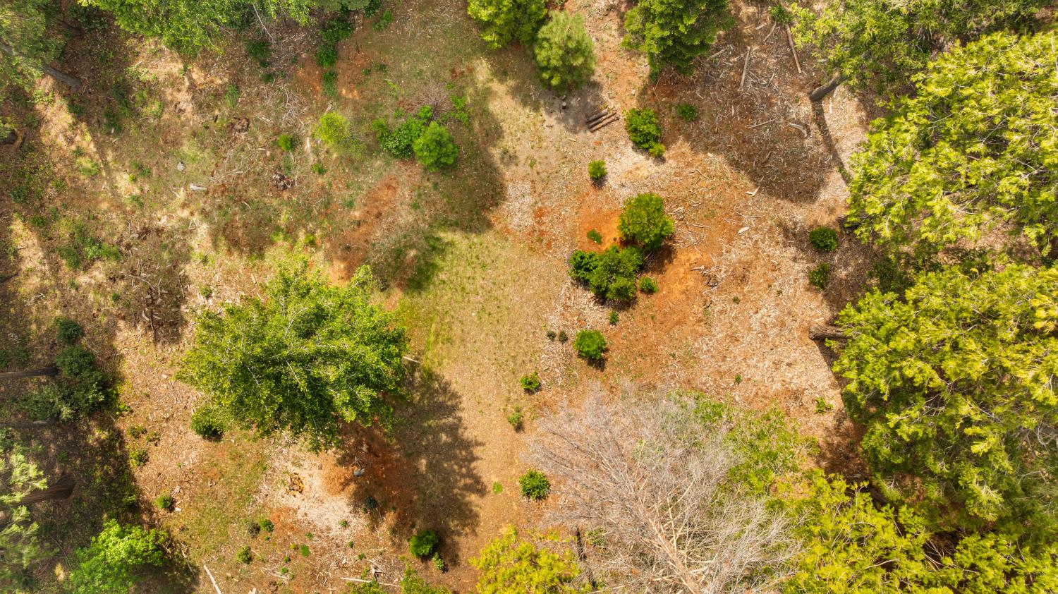 14647 Banner Quaker Hill Road Nevada City, CA 95959 - Photo 23 of 43