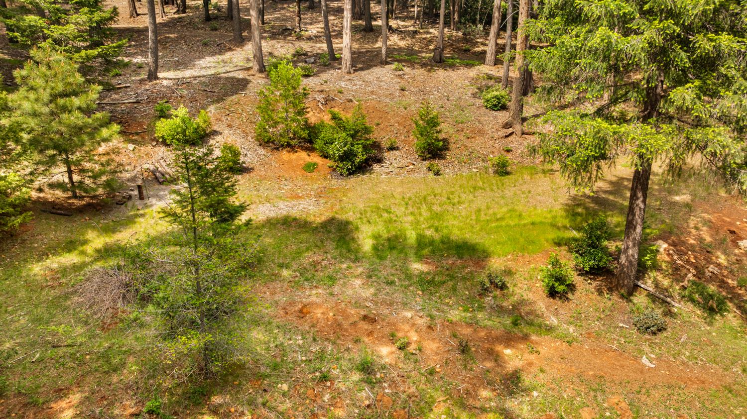 14647 Banner Quaker Hill Road Nevada City, CA 95959 - Photo 25 of 43 a view of yard covered with snow