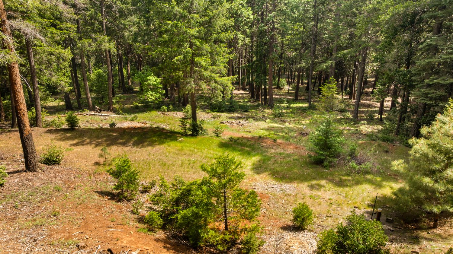 14647 Banner Quaker Hill Road Nevada City, CA 95959 - Photo 26 of 43 a view of a yard with trees