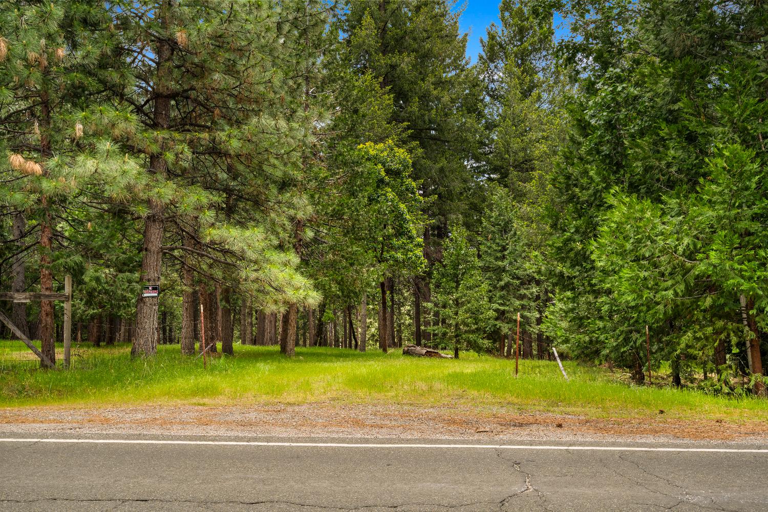 14647 Banner Quaker Hill Road Nevada City, CA 95959 - Photo 28 of 43 a view of a yard with plants and large trees