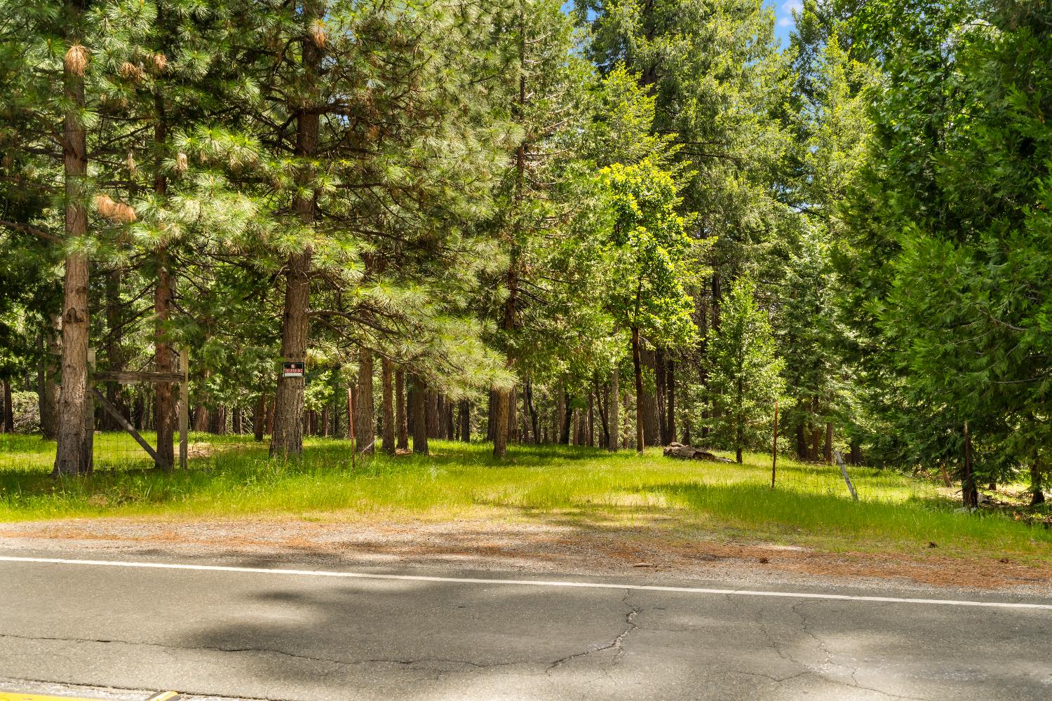 14647 Banner Quaker Hill Road Nevada City, CA 95959 - Photo 29 of 43 a view of swimming pool and trees in the background