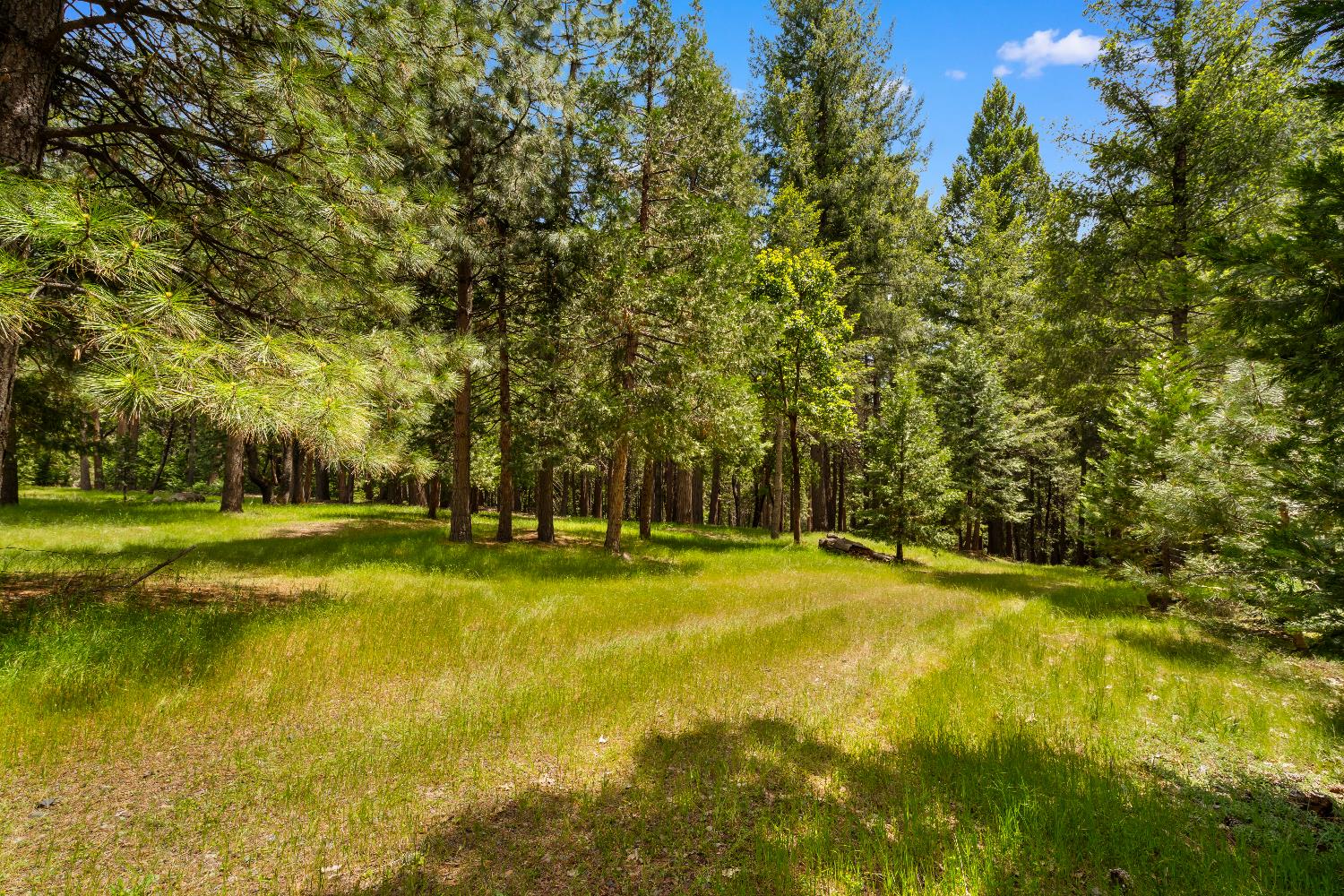 14647 Banner Quaker Hill Road Nevada City, CA 95959 - Photo 30 of 43 a view of a swimming pool with a yard and large trees