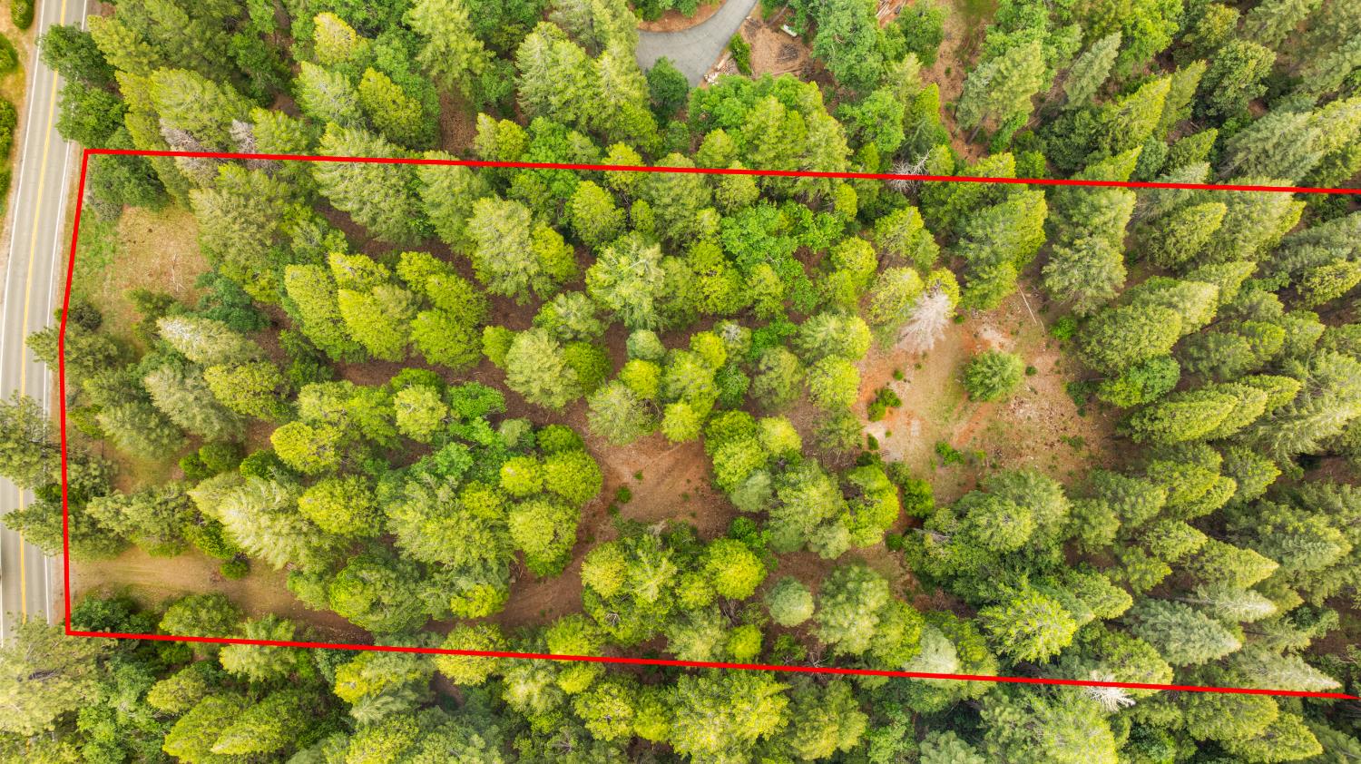 14647 Banner Quaker Hill Road Nevada City, CA 95959 - Photo 4 of 43 a view of a yard with a tree