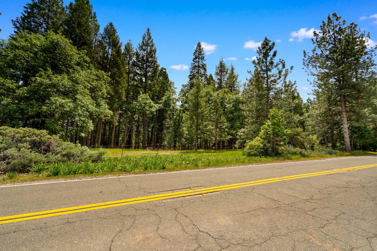 14647 Banner Quaker Hill Road Nevada City, CA 95959 - Photo 43 of 43 a view of a yard with an trees