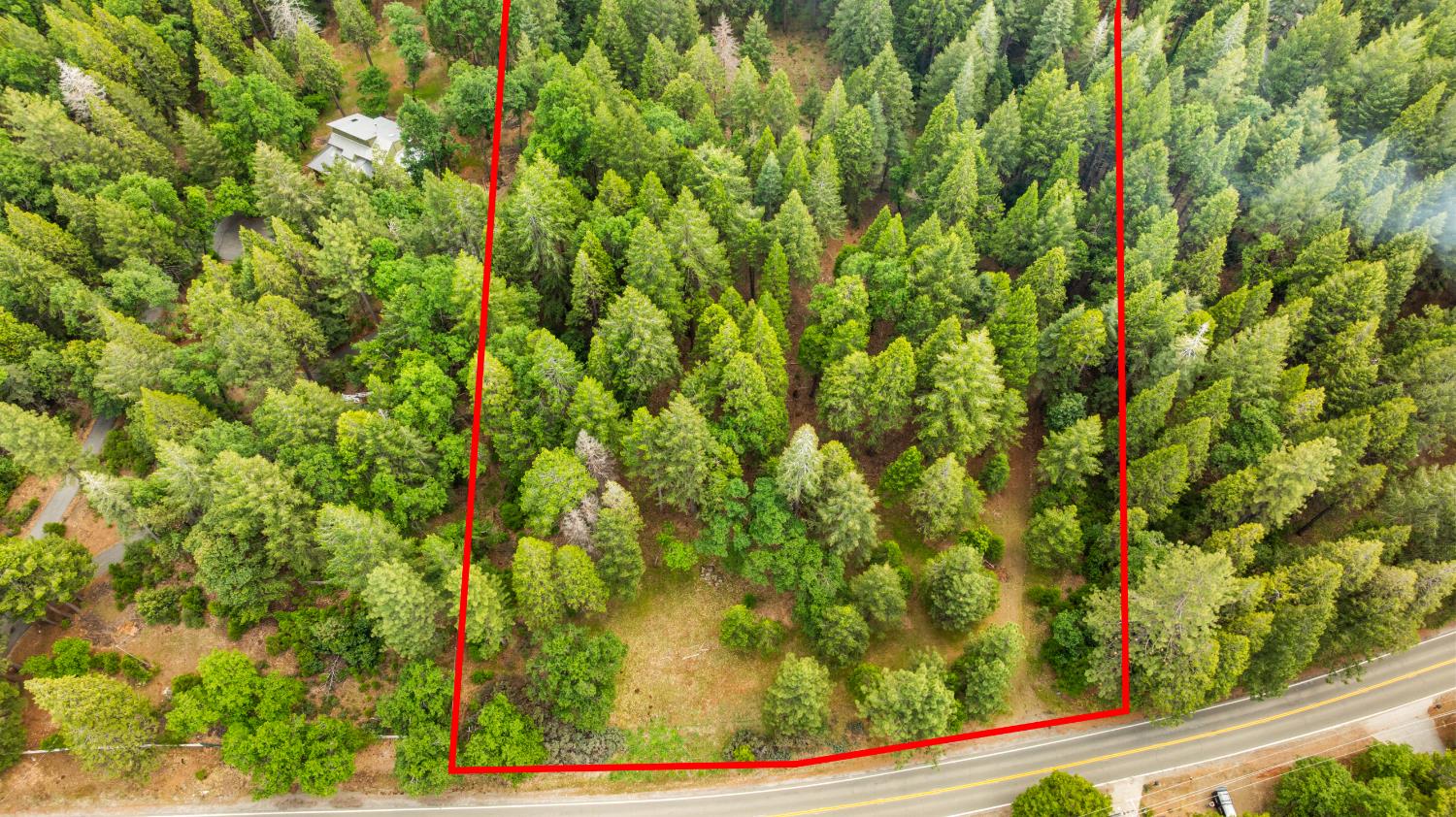 14647 Banner Quaker Hill Road Nevada City, CA 95959 - Photo 5 of 43 a view of a yard with plants