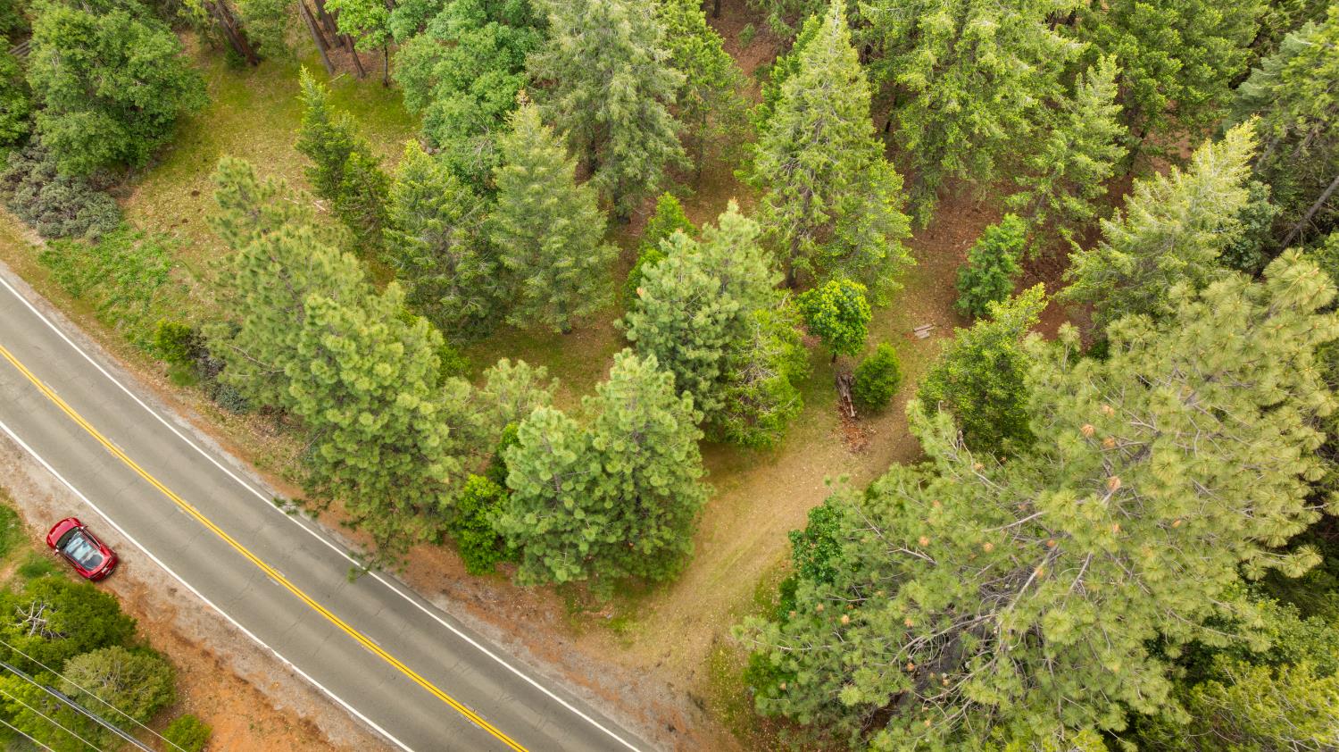 14647 Banner Quaker Hill Road Nevada City, CA 95959 - Photo 6 of 43 a view of a garden from a balcony