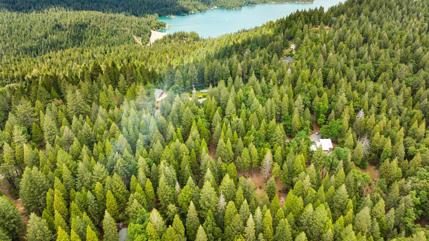 14647 Banner Quaker Hill Road Nevada City, CA 95959 - Photo 8 of 43 a view of a bunch of trees