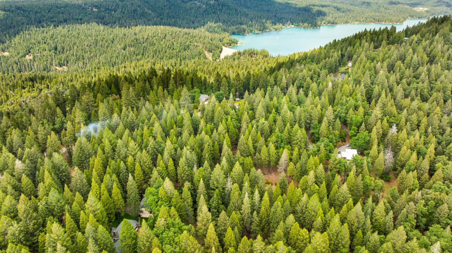 14647 Banner Quaker Hill Road Nevada City, CA 95959 - Photo 9 of 43 a view of a garden