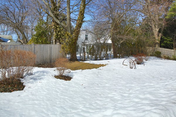 41 Sheldon Road Newton, MA 02459 - Photo 7 of 7 a view of backyard with tree