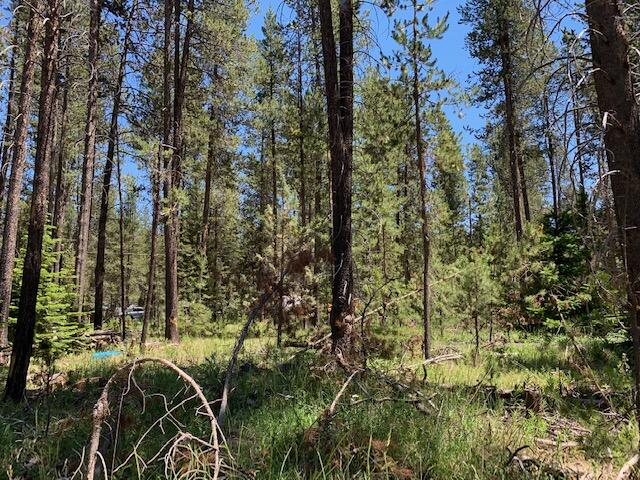 17020 Island Loop Way Bend, OR 97707 - Photo 6 of 11 17020