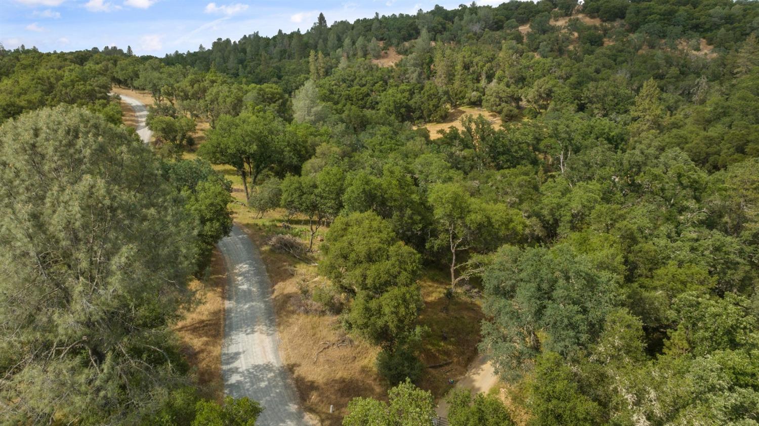 3 Bell Road Plymouth, CA 95669 - Photo 7 of 11 a view of a forest with a forest