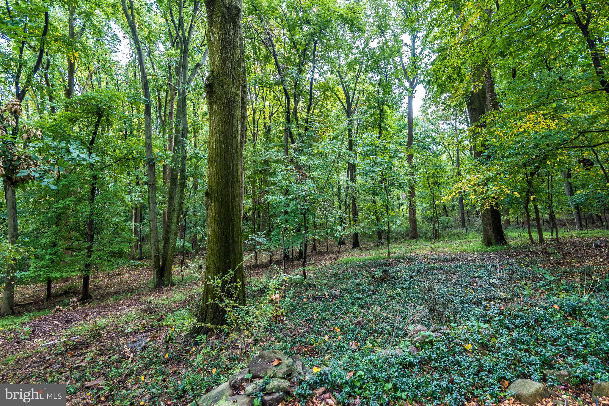 5701 Private Road Doylestown, PA 18902 - Photo 64 of 65 Backyard