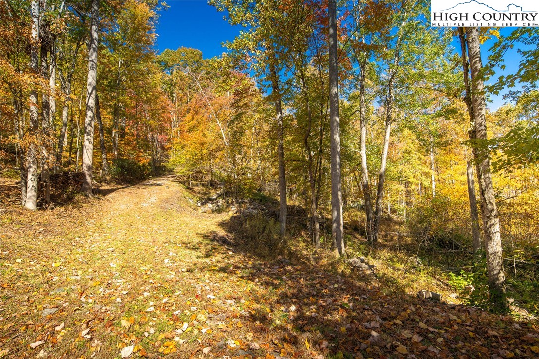 2161 Stone Mountain Road Vilas, NC 28692 - Photo 25 of 50 a view of a pathway of a building