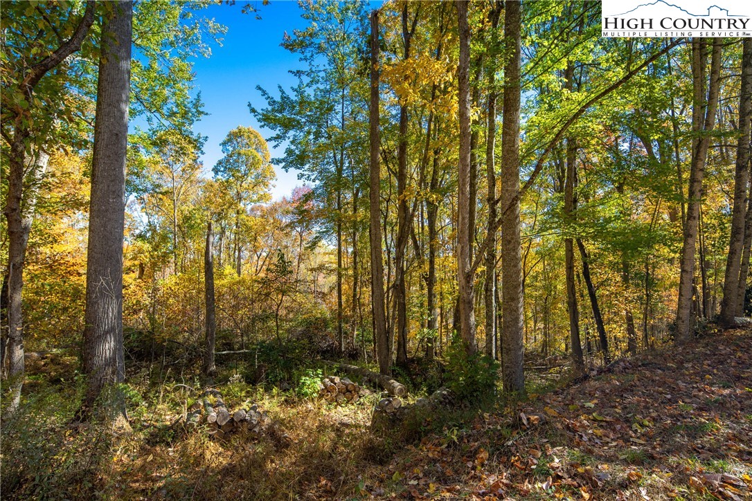 2161 Stone Mountain Road Vilas, NC 28692 - Photo 26 of 50 a view of backyard with tree