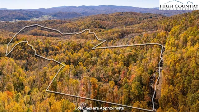 a view of a lush green hillside and houses