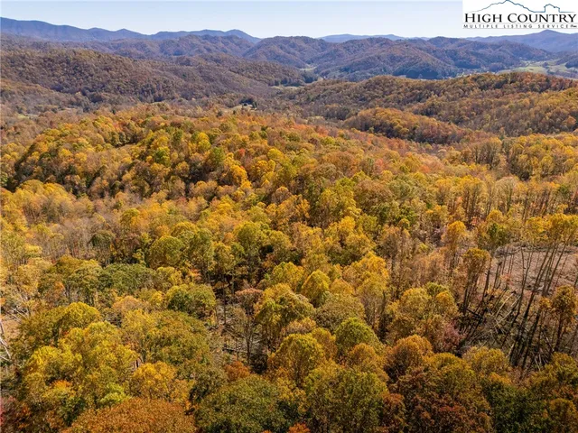 a view of a forest with mountains in the background