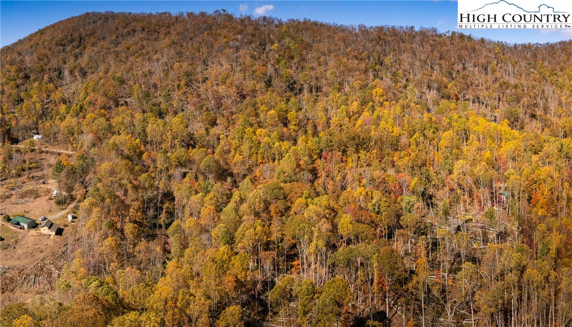 2161 Stone Mountain Road Vilas, NC 28692 - Photo 46 of 50 a view of a dry yard