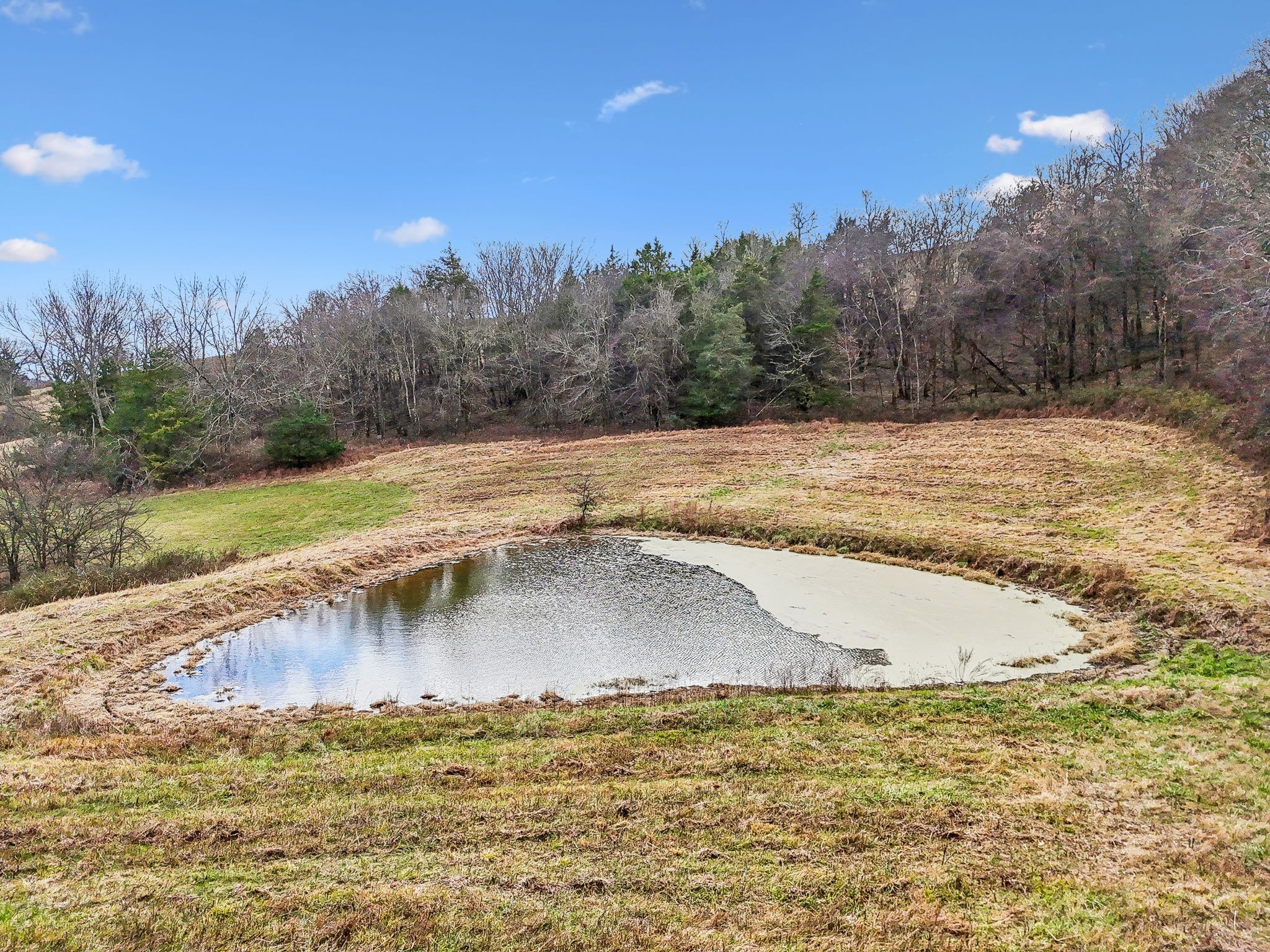 6884 Choctaw Road College Grove, TN 37046 - Photo 5 of 5 Gallery Image 5