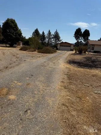 a view of a yard with pathway