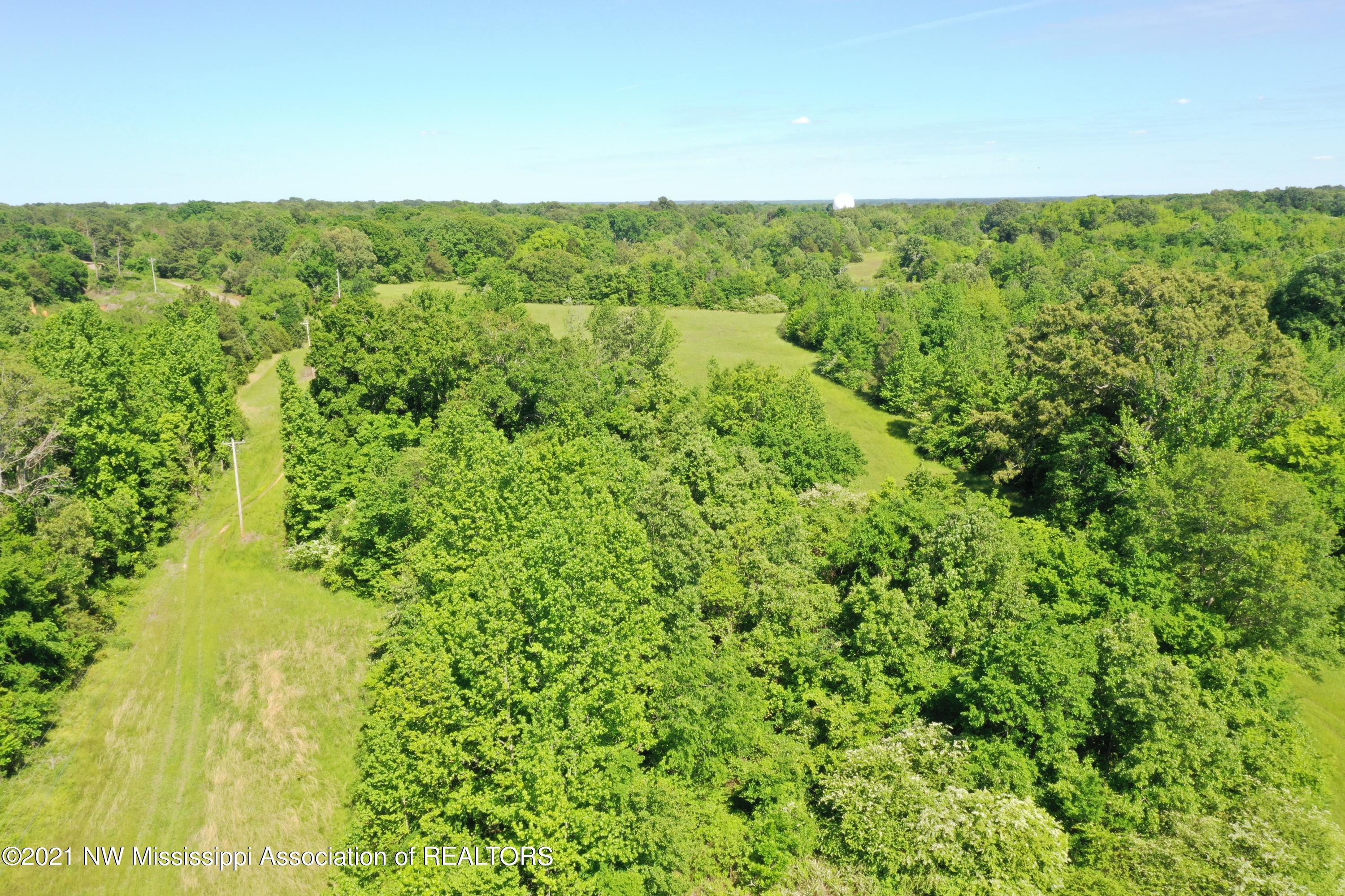 2 Old Byhalia Road Byhalia, MS 38611 - Photo 1 of 31 DJI_0299