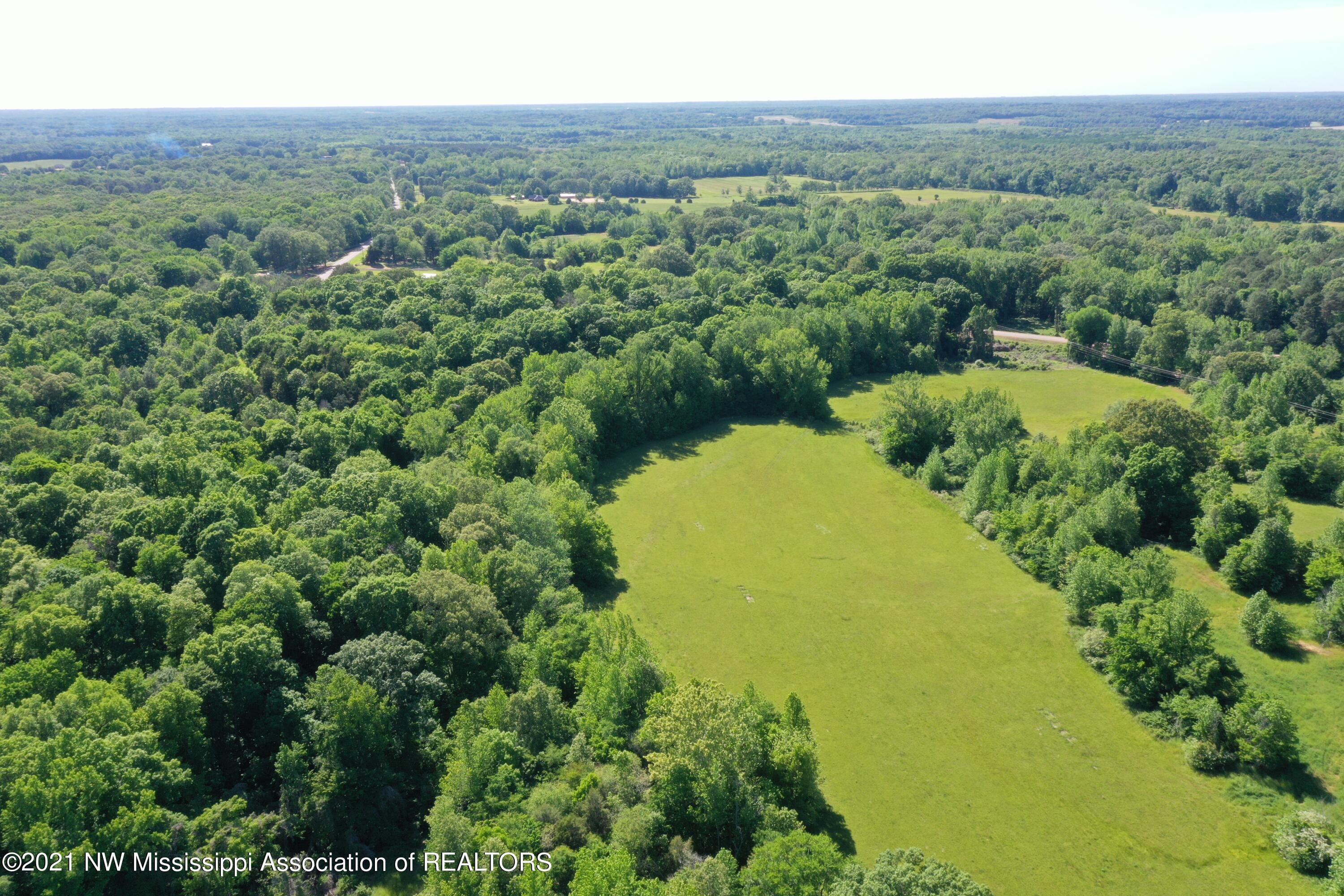 2 Old Byhalia Road Byhalia, MS 38611 - Photo 11 of 31 DJI_0308