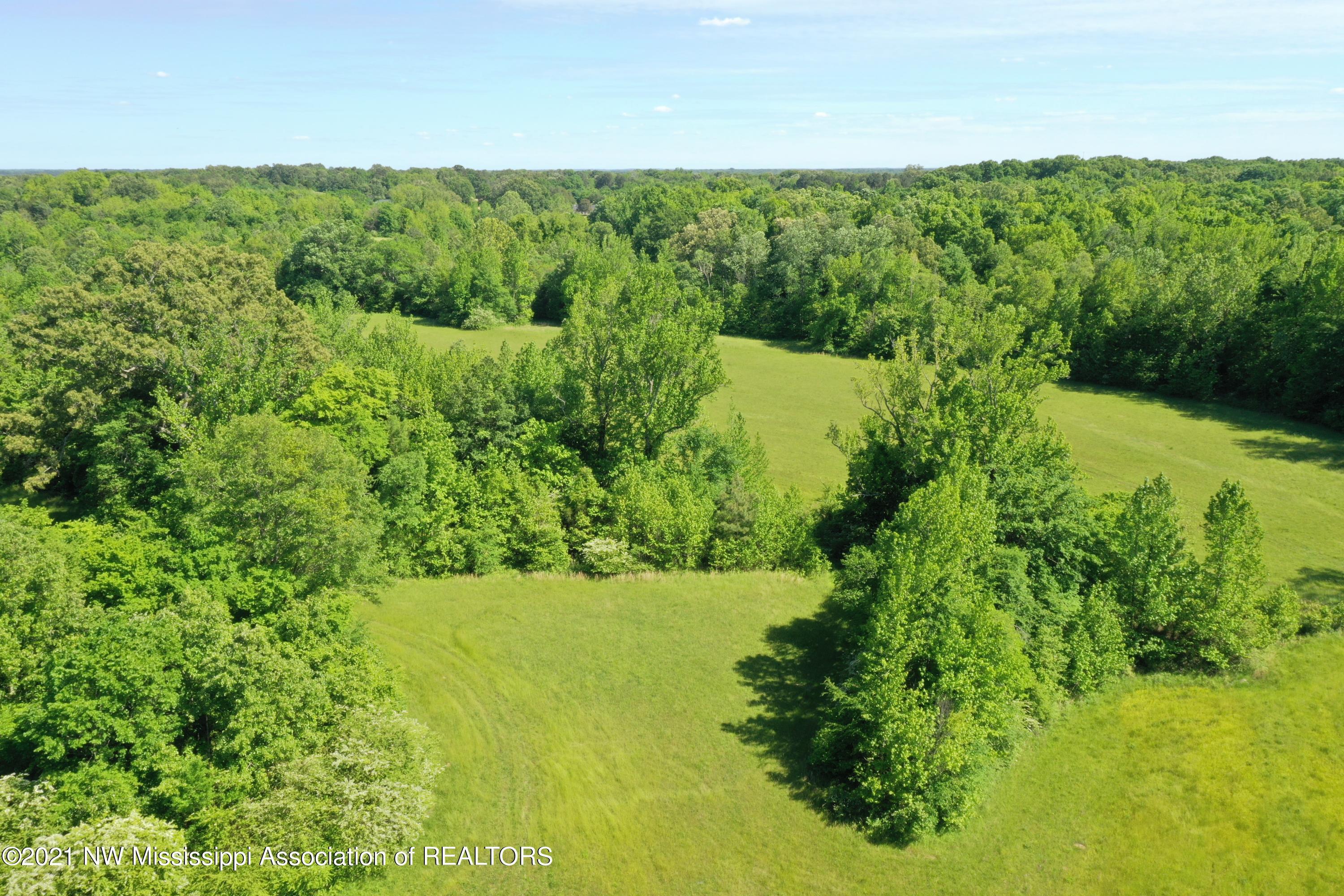 2 Old Byhalia Road Byhalia, MS 38611 - Photo 2 of 31 DJI_0300