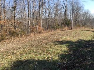 1156 Bridge Hollow Road Somerset, KY 42503 - Photo 2 of 4 Additional Photo