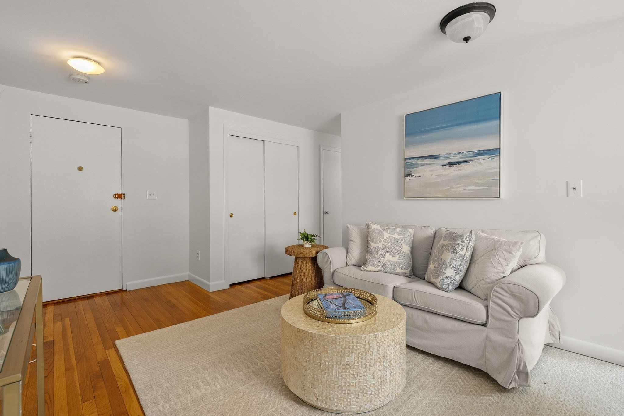 133 Beaconsfield Road, Unit 23 Brookline, MA 02445 - Photo 3 of 18 Gallery Image 3