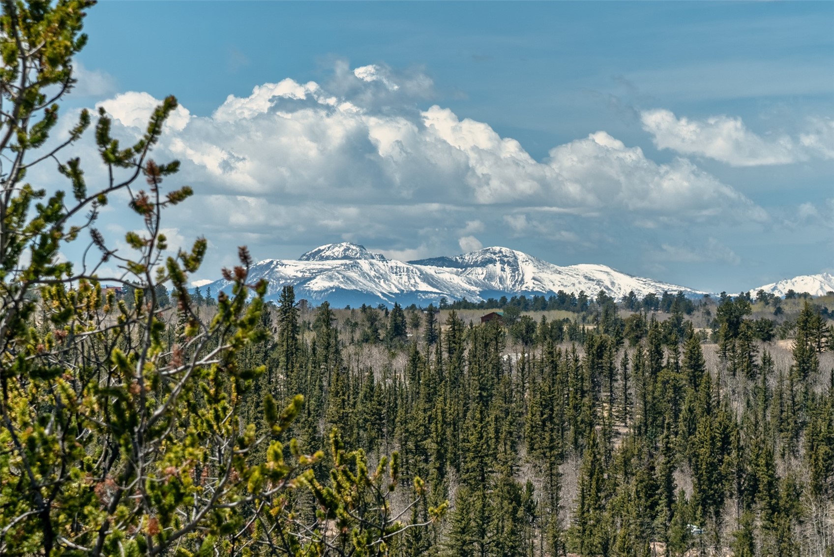 360 Musket Lane Como, CO 80456 - Photo 42 of 46