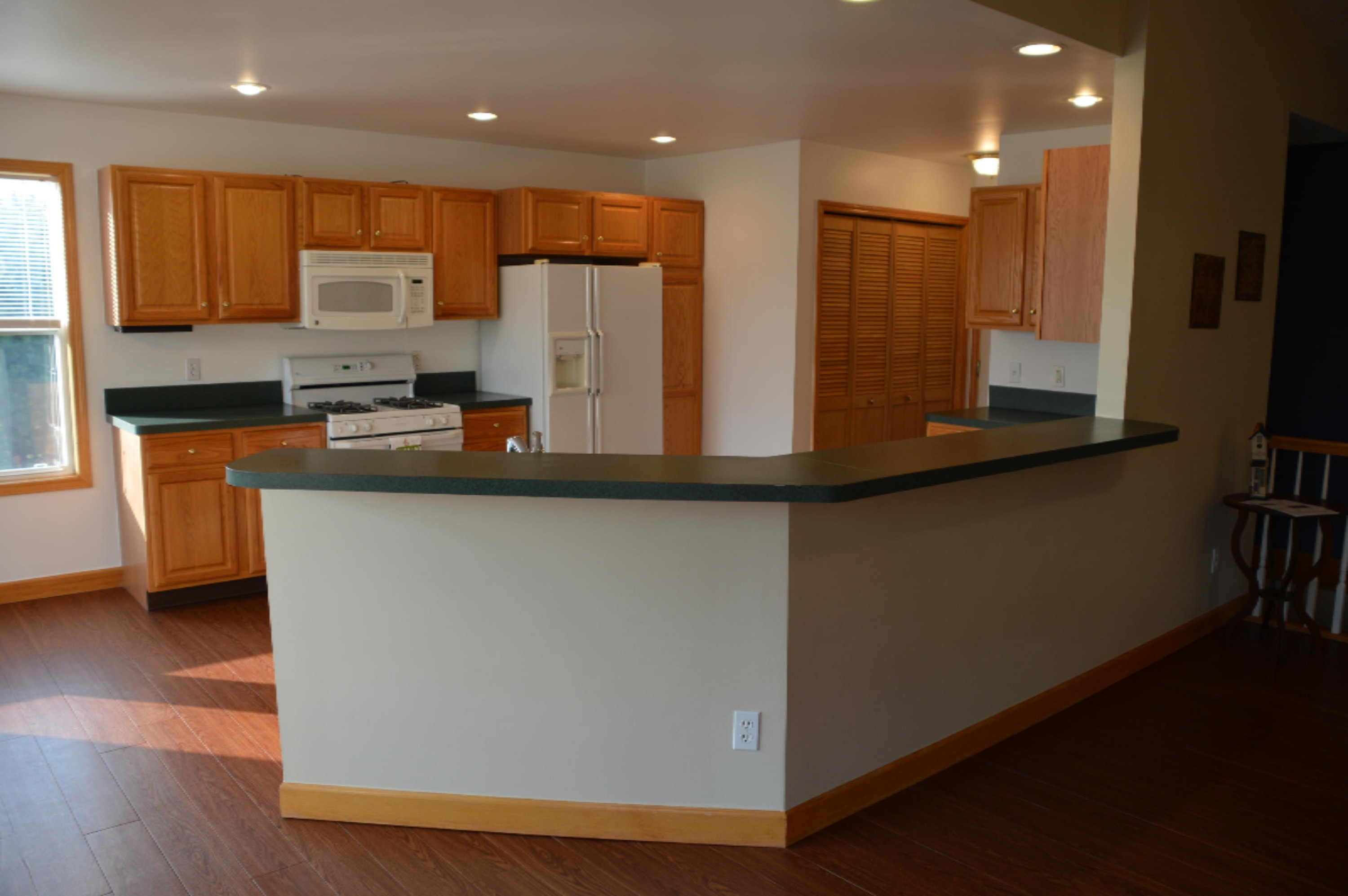 267 South Patterson Road Wayland, MI 49348 - Photo 19 of 41 DSC_0048