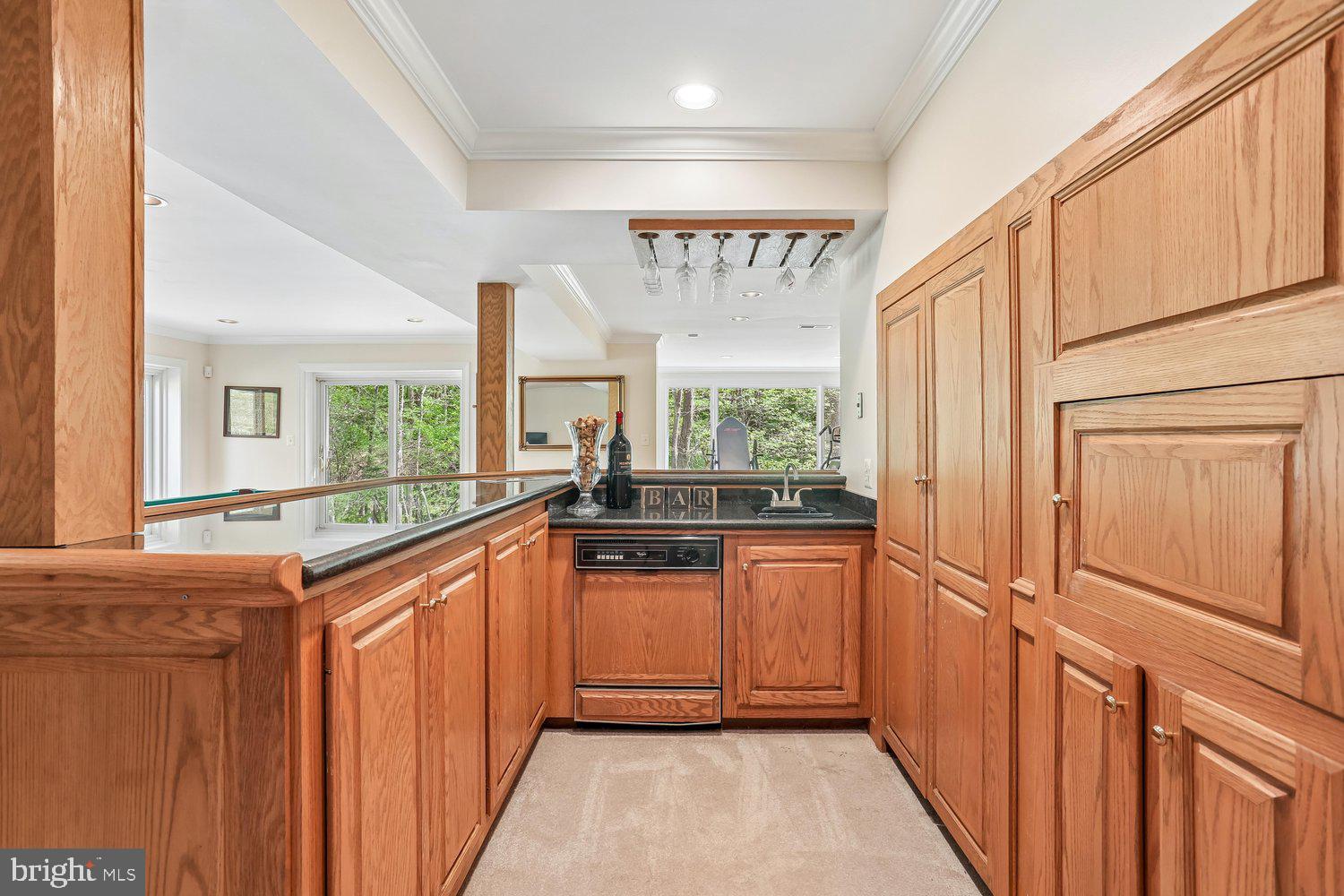 12321 Rivers Edge Drive Potomac, MD 20854 - Photo 61 of 103 LL Kitchen/Bar