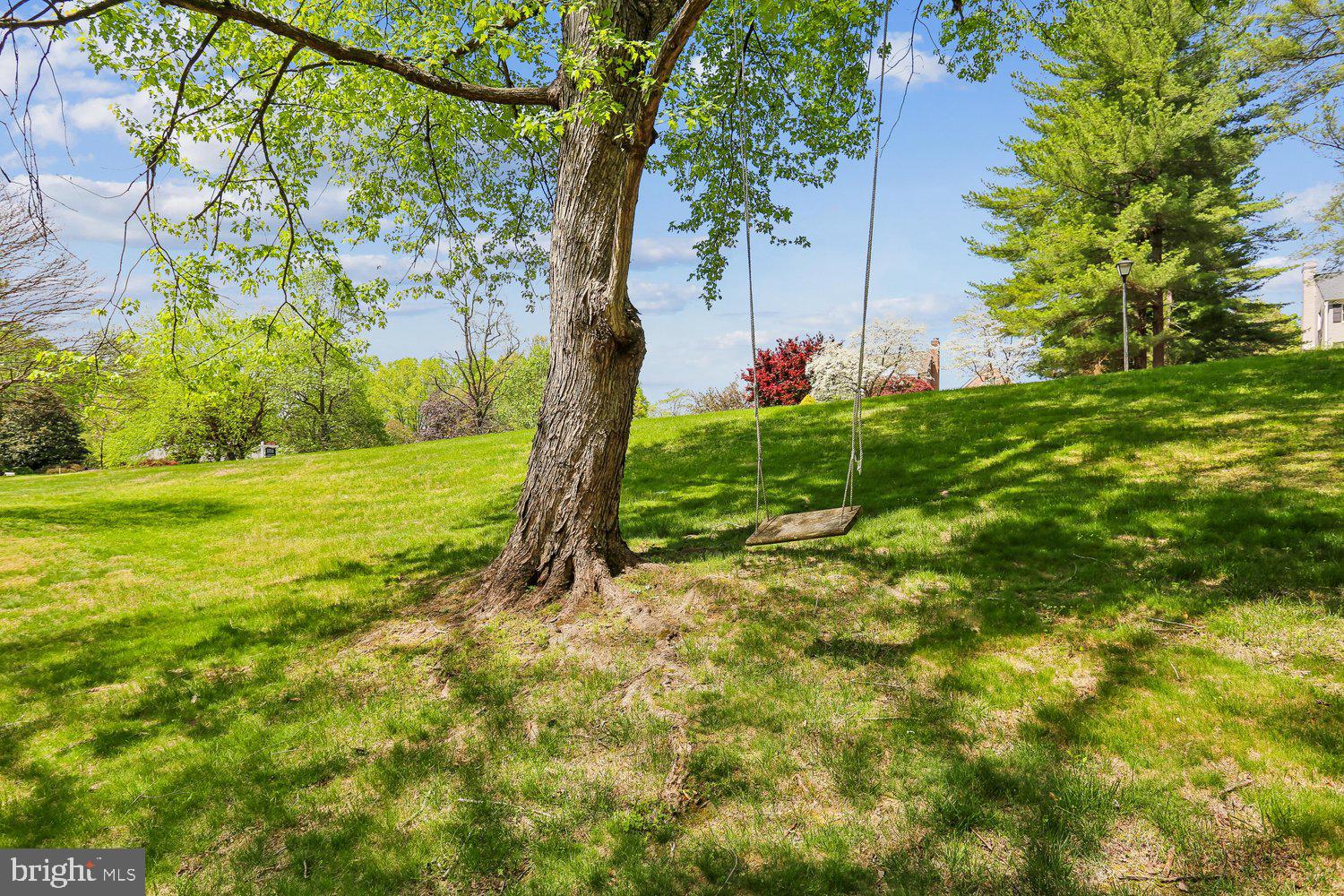 12321 Rivers Edge Drive Potomac, MD 20854 - Photo 95 of 103 Side Yard