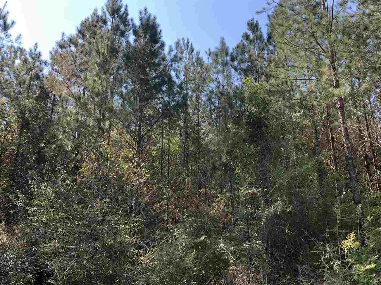 Tedder Road Century, FL 32535 - Photo 2 of 2