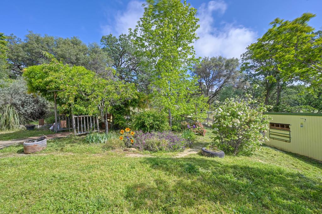 6181 Lambert Lane El Dorado, CA 95623 - Photo 52 of 68 view of green lawn featuring view of wooded area