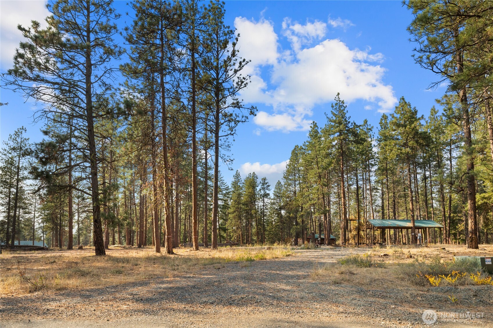 341 Teanaway Ridge Way Cle Elum, WA 98922 - Photo 17 of 32 Gallery Image 17