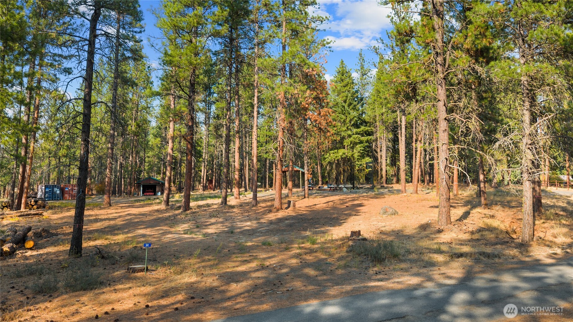 341 Teanaway Ridge Way Cle Elum, WA 98922 - Photo 18 of 32 Gallery Image 18