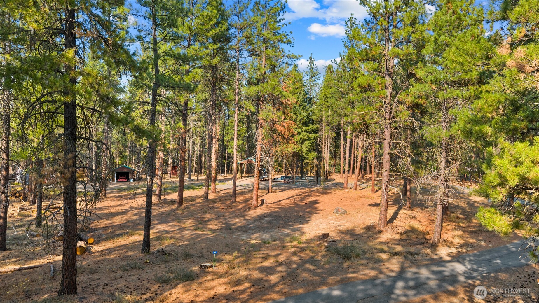 341 Teanaway Ridge Way Cle Elum, WA 98922 - Photo 19 of 32 Gallery Image 19