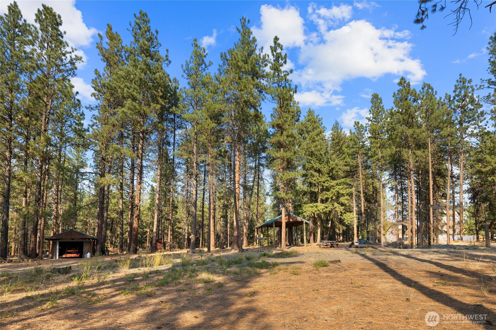 341 Teanaway Ridge Way Cle Elum, WA 98922 - Photo 2 of 32 Gallery Image 2