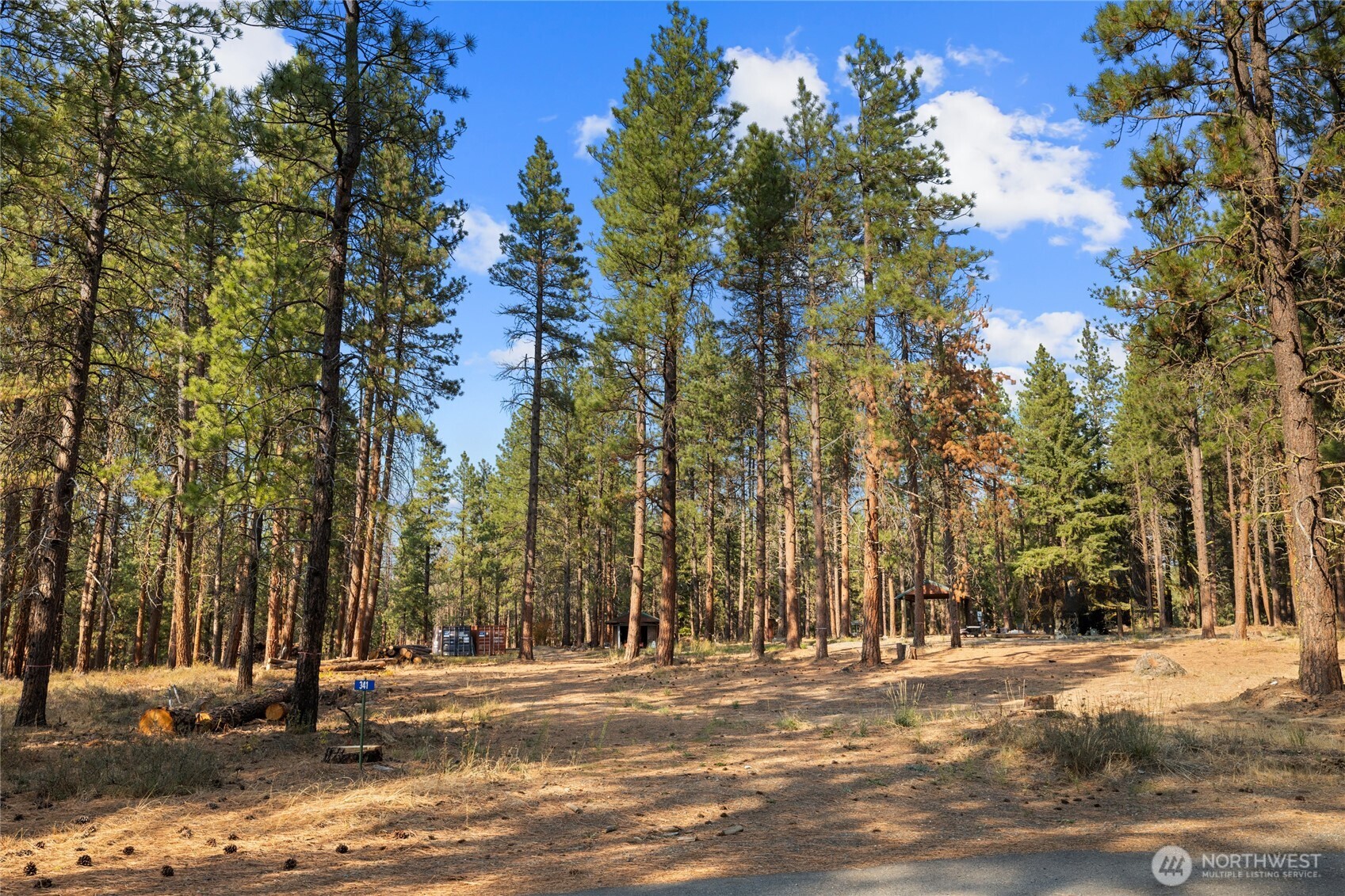 341 Teanaway Ridge Way Cle Elum, WA 98922 - Photo 3 of 32 Gallery Image 3