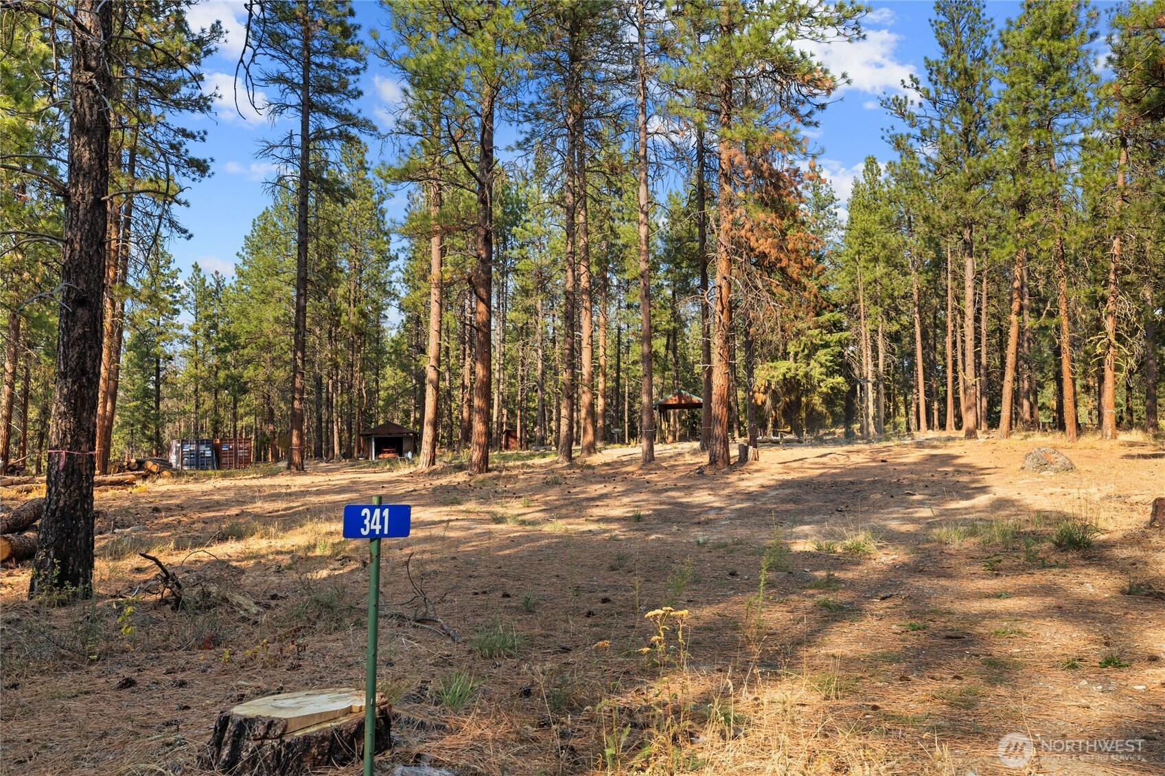 341 Teanaway Ridge Way Cle Elum, WA 98922 - Photo 4 of 32 Gallery Image 4