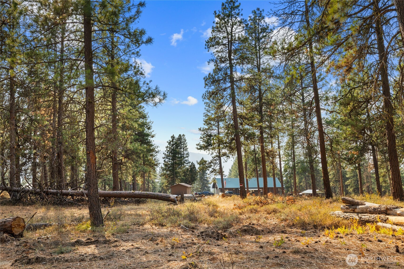 341 Teanaway Ridge Way Cle Elum, WA 98922 - Photo 5 of 32 Gallery Image 5