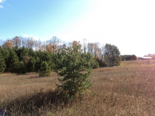 3601 Soderquist Road Mancelona, MI 49659 - Photo 11 of 56 1791600-10.JPG