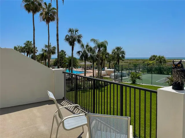 a garden view with palm trees
