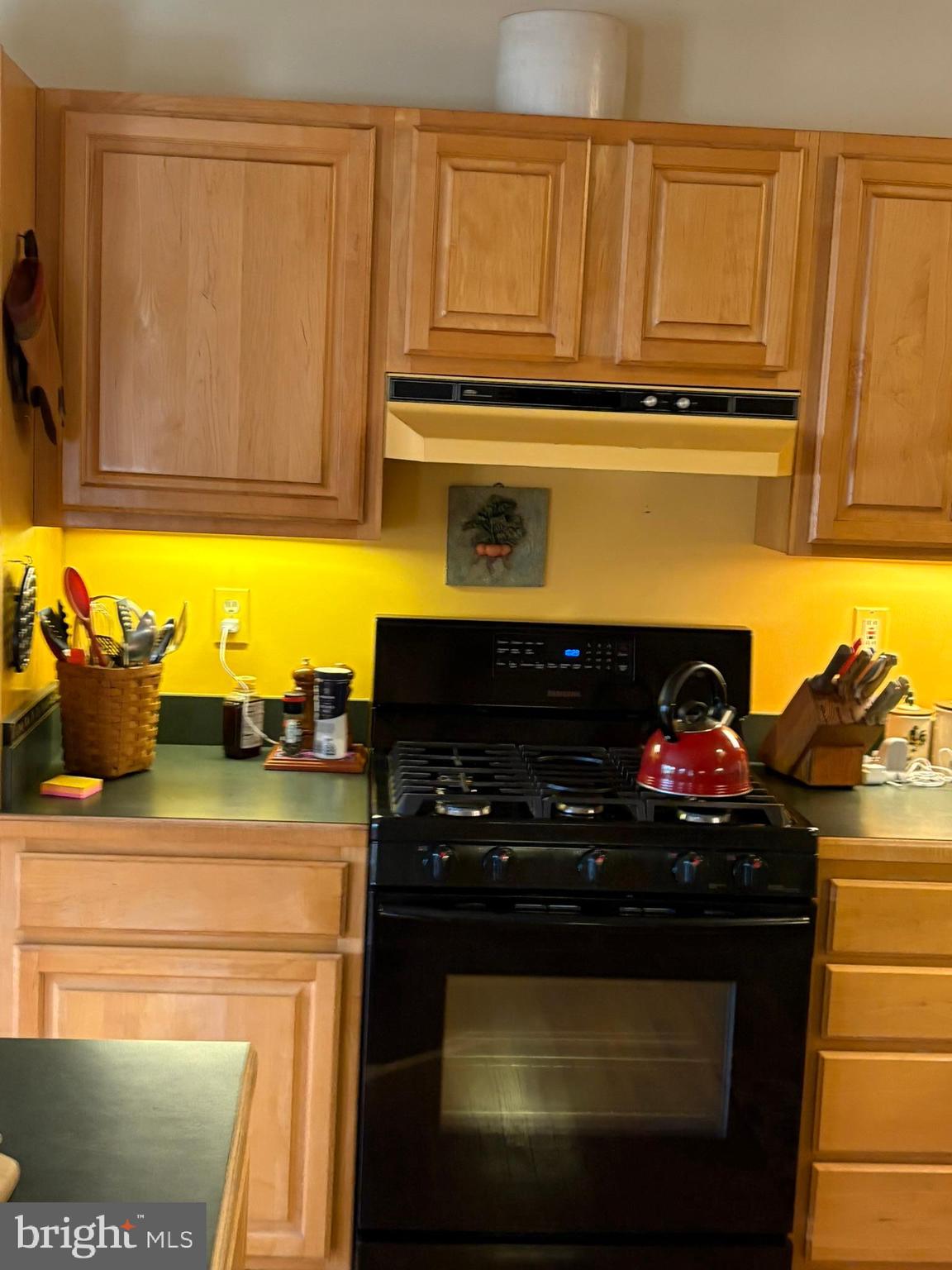 18156 Countyline Church Road Ruther Glen, VA 22546 - Photo 19 of 20