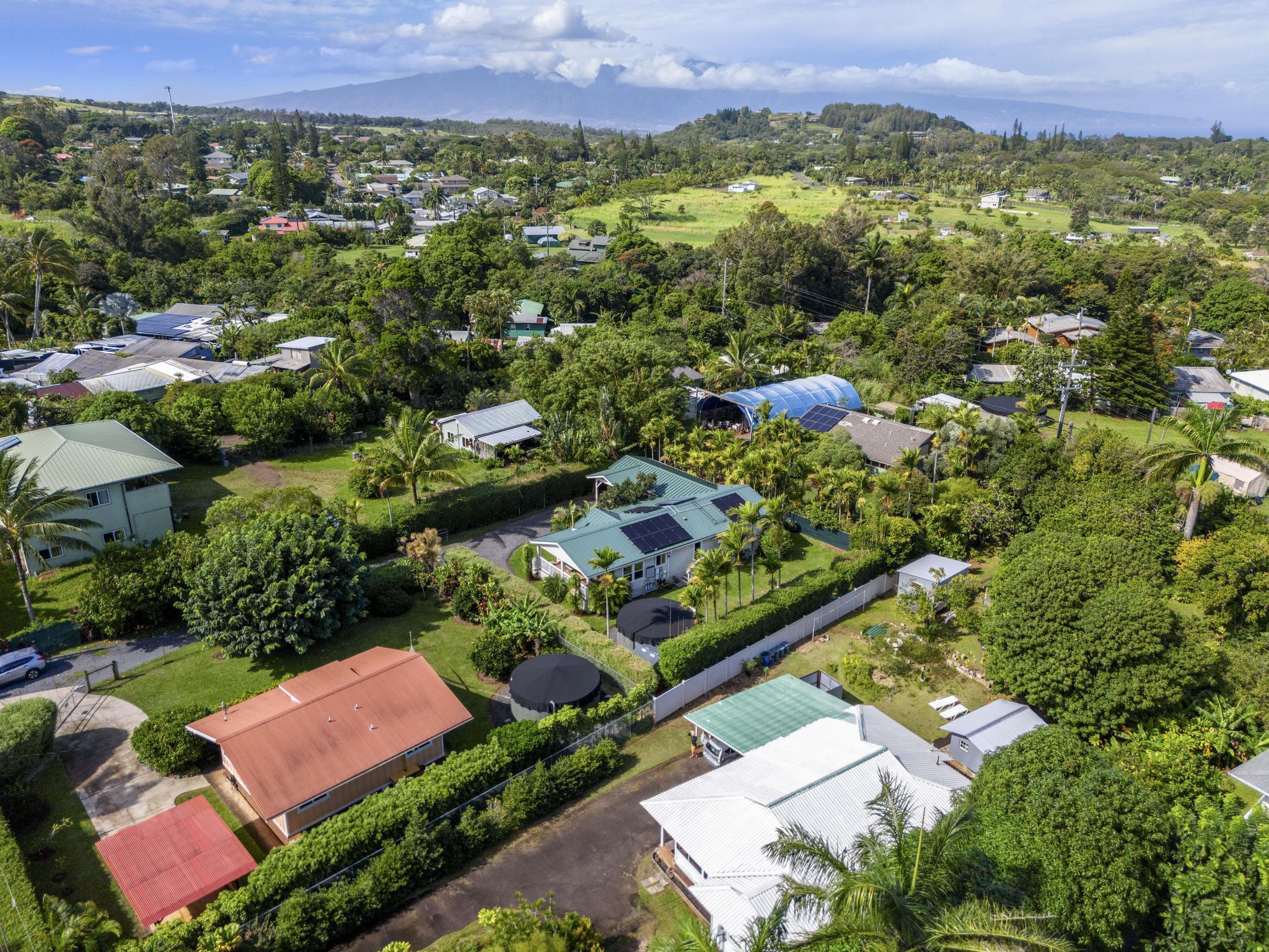 1335 Haiku Road Haiku, HI 96708 - Photo 48 of 50
